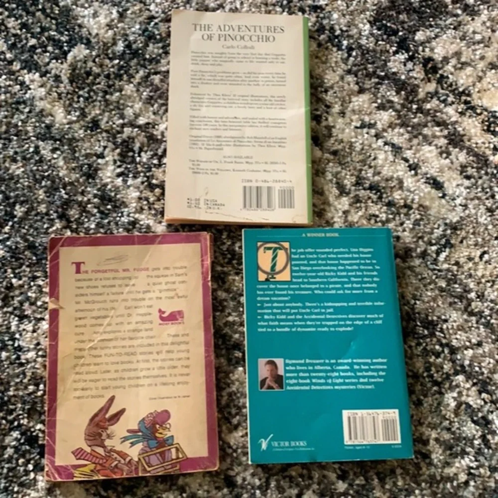 Three Children’s Reading Books Used